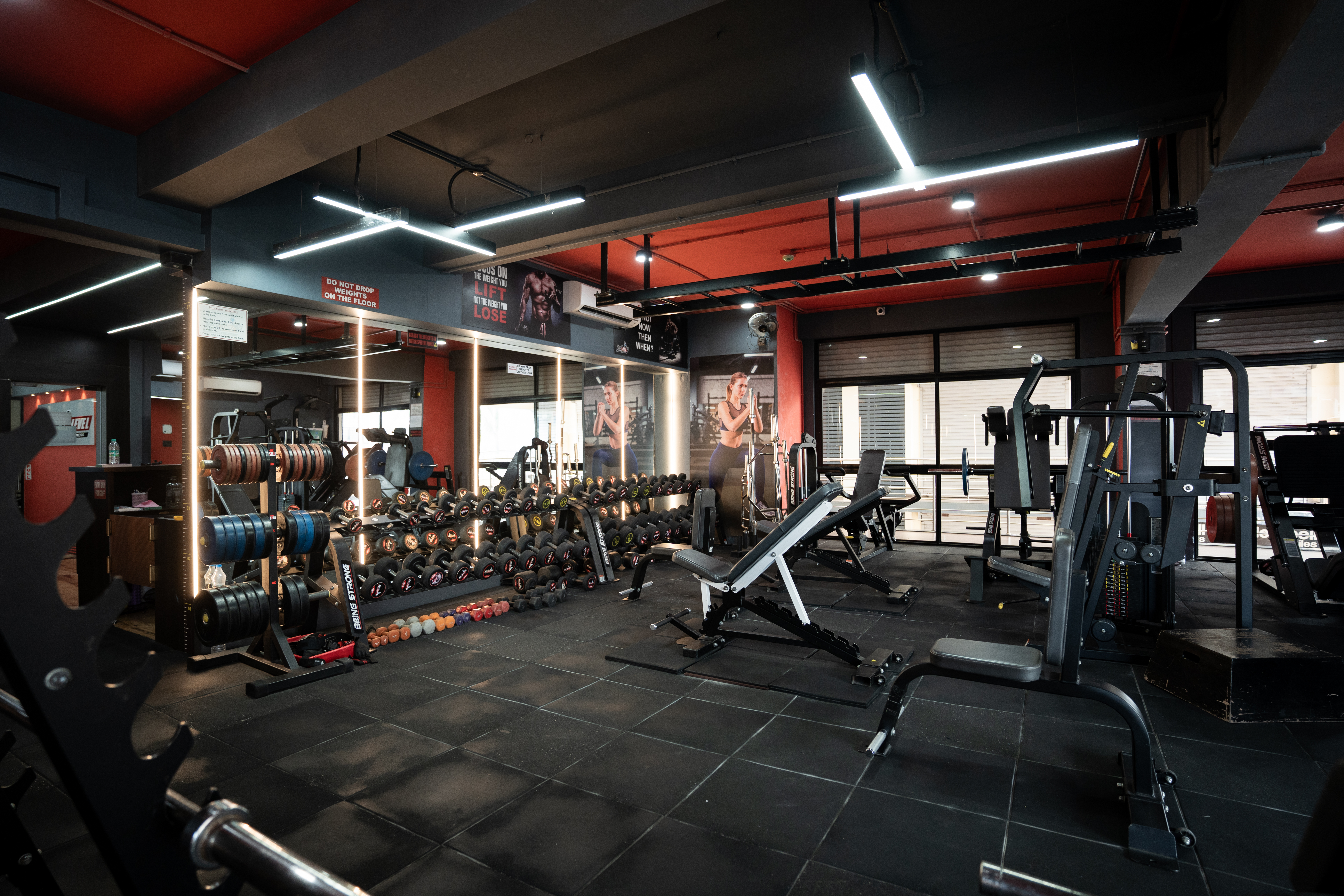 Gym & Fitness