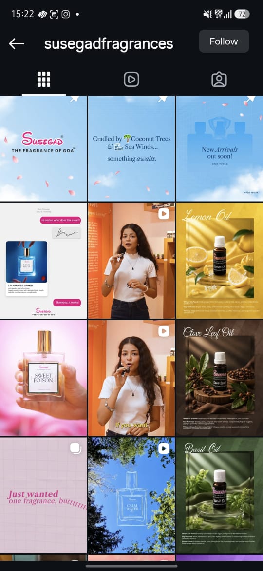 Susegad Instagram feed after Flashlab's strategy